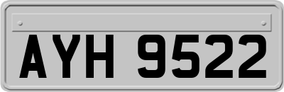 AYH9522