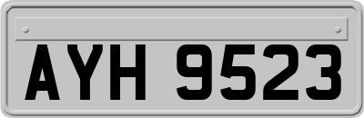 AYH9523