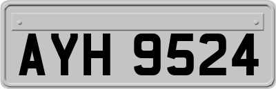 AYH9524