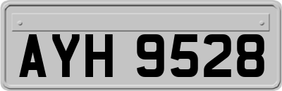 AYH9528