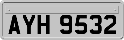 AYH9532