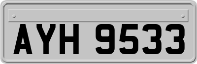 AYH9533