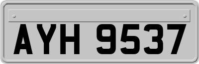 AYH9537