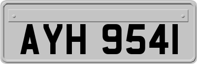 AYH9541
