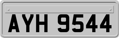 AYH9544