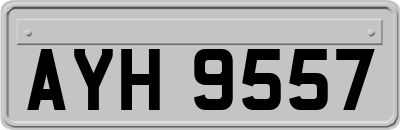 AYH9557