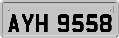 AYH9558