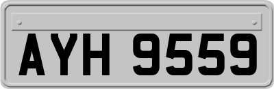 AYH9559