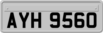 AYH9560