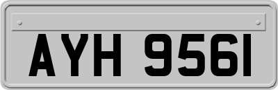 AYH9561