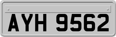 AYH9562