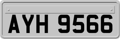 AYH9566