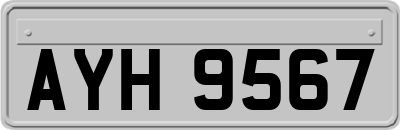 AYH9567
