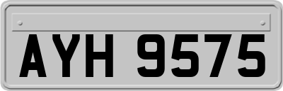 AYH9575