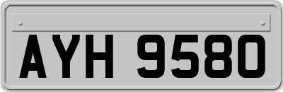 AYH9580