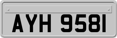 AYH9581