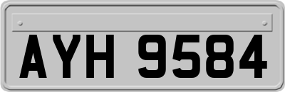 AYH9584