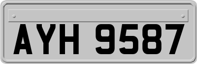 AYH9587
