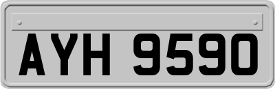 AYH9590