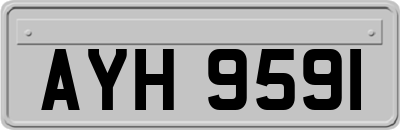 AYH9591
