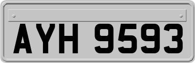 AYH9593