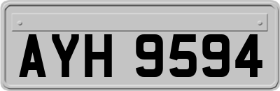 AYH9594
