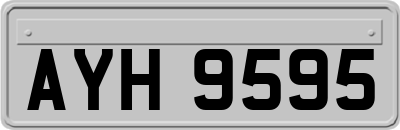 AYH9595
