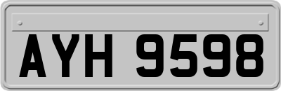 AYH9598