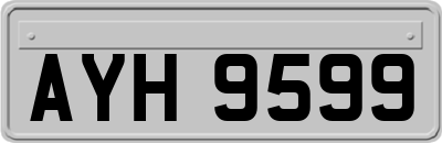 AYH9599