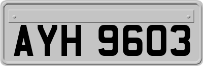 AYH9603