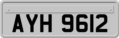 AYH9612