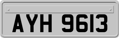 AYH9613