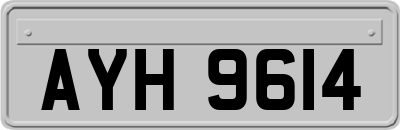 AYH9614