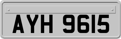 AYH9615