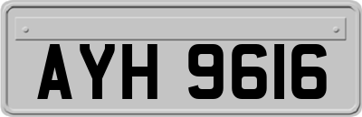 AYH9616