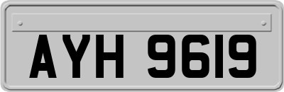 AYH9619