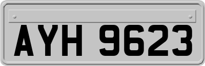 AYH9623