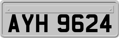 AYH9624