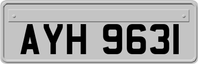 AYH9631
