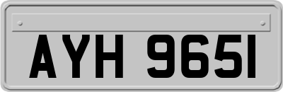 AYH9651