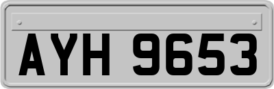 AYH9653