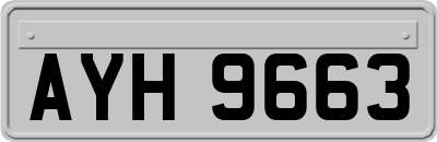 AYH9663