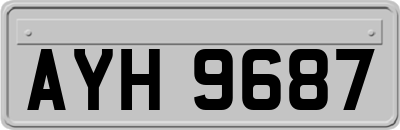 AYH9687