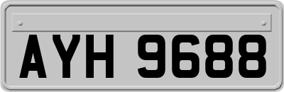 AYH9688