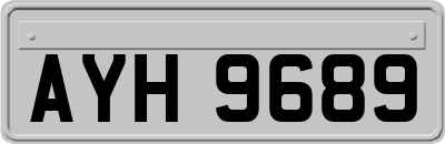 AYH9689