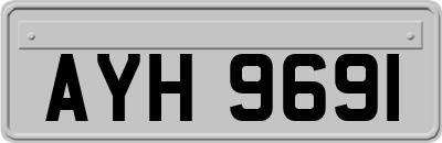 AYH9691