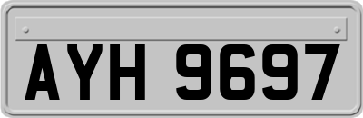 AYH9697