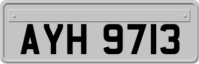 AYH9713