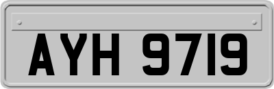 AYH9719