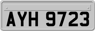 AYH9723